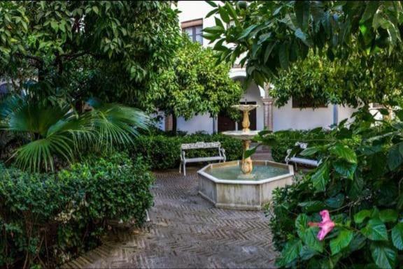 Apartamento En Un Dormitorio En Plaza Alfaro Севилья Экстерьер фото