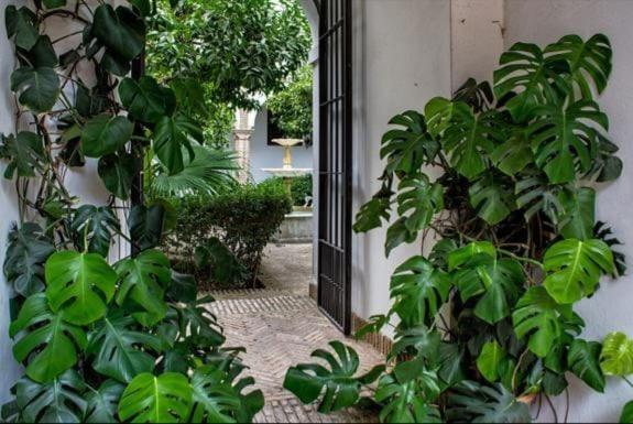 Apartamento En Un Dormitorio En Plaza Alfaro Севилья Экстерьер фото